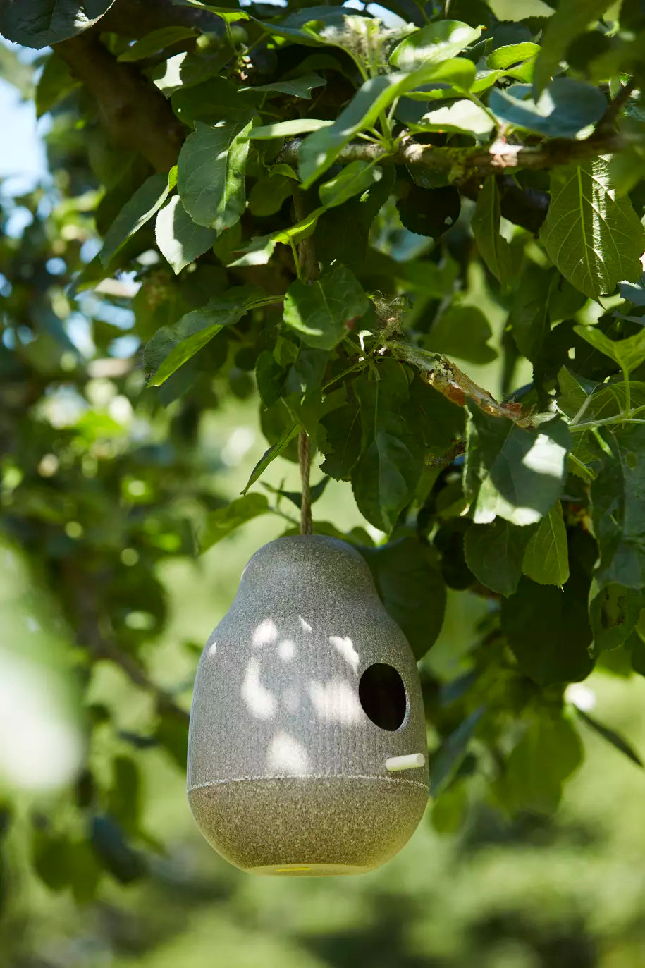 media_ambienceimage_2