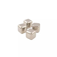 Set van 4 herbruikbare ijsblokjes met zakje