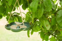 Baignoire à oiseaux/ mangeoire pour oiseaux en fibre de bambou taupe