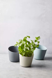 Kruidenpot uit bamboevezel mist blauw