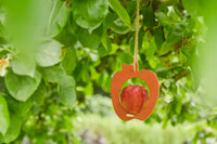 Voederhuisje appel vogels uit bamboevezel vintage maroon