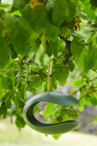 Bird feeder made of bamboo fiber in dark forest green