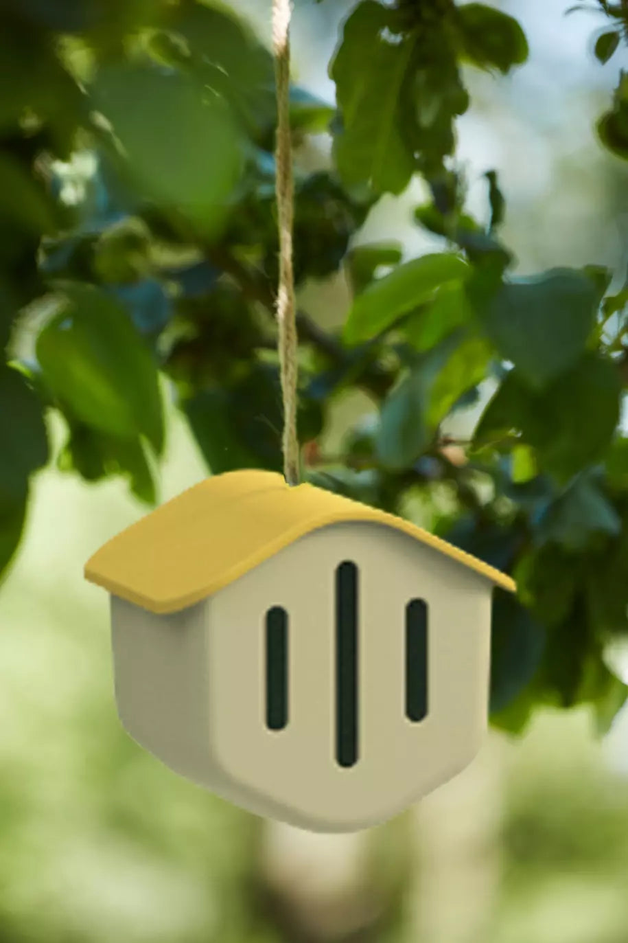 media_ambienceimage_1