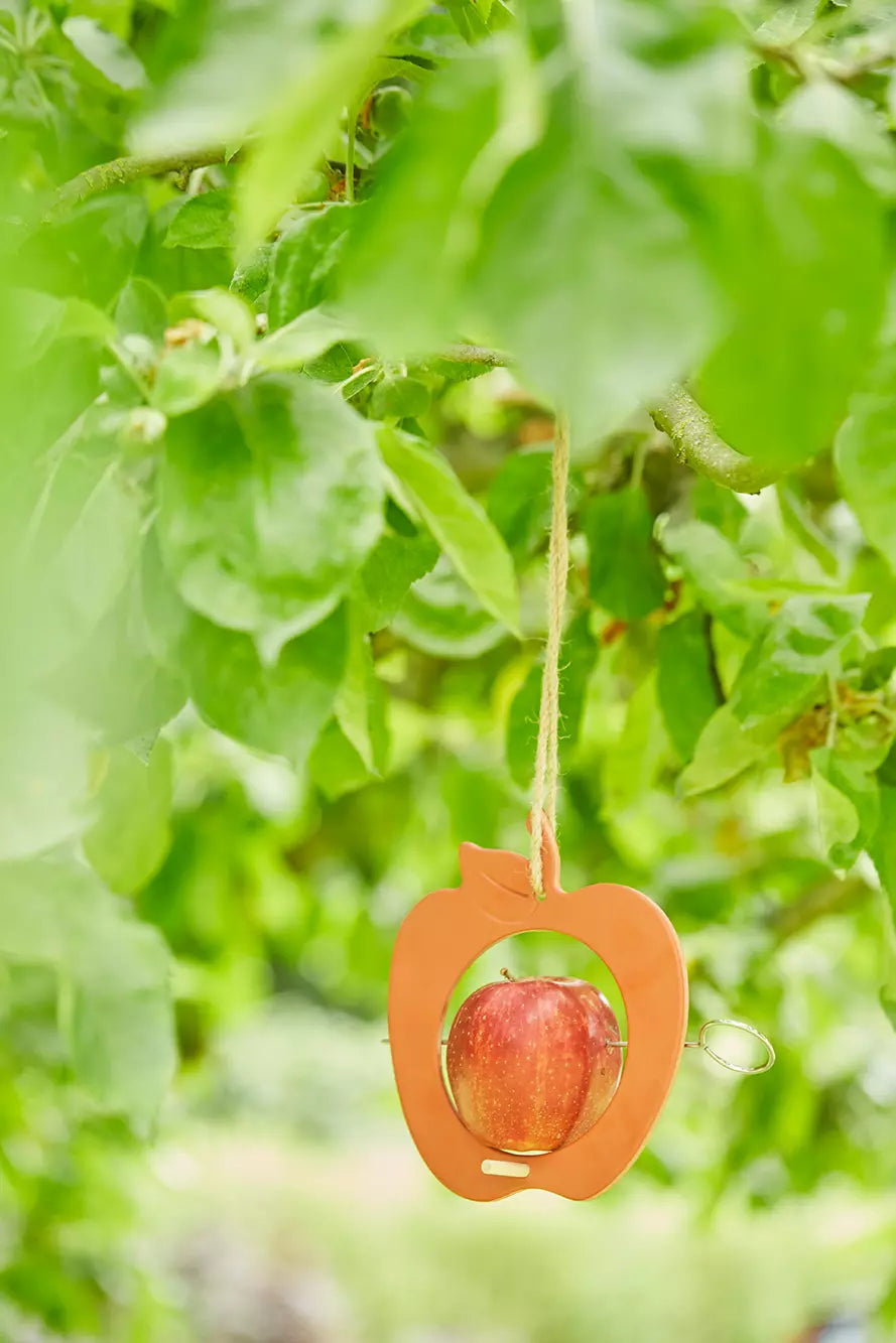 media_ambienceimage_6