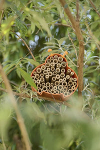 Bijen- en insectenhotel uit bamboevezel oranje 16x15x12cm