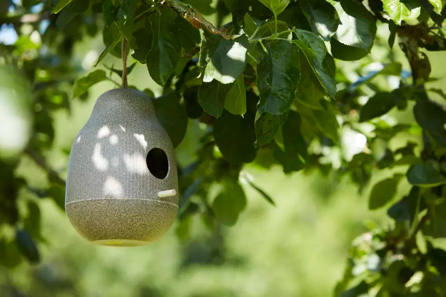 media_ambienceimage_1