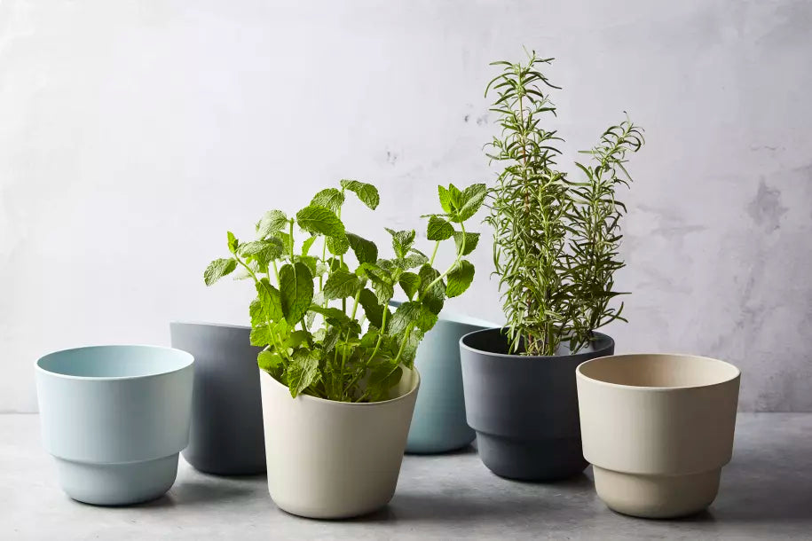 media_ambienceimage_5