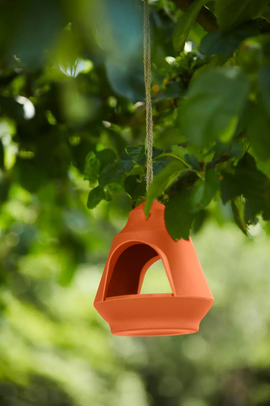 media_ambienceimage_1