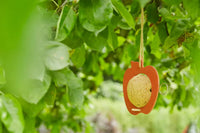 Voederhuisje appel vogels uit bamboevezel vintage maroon