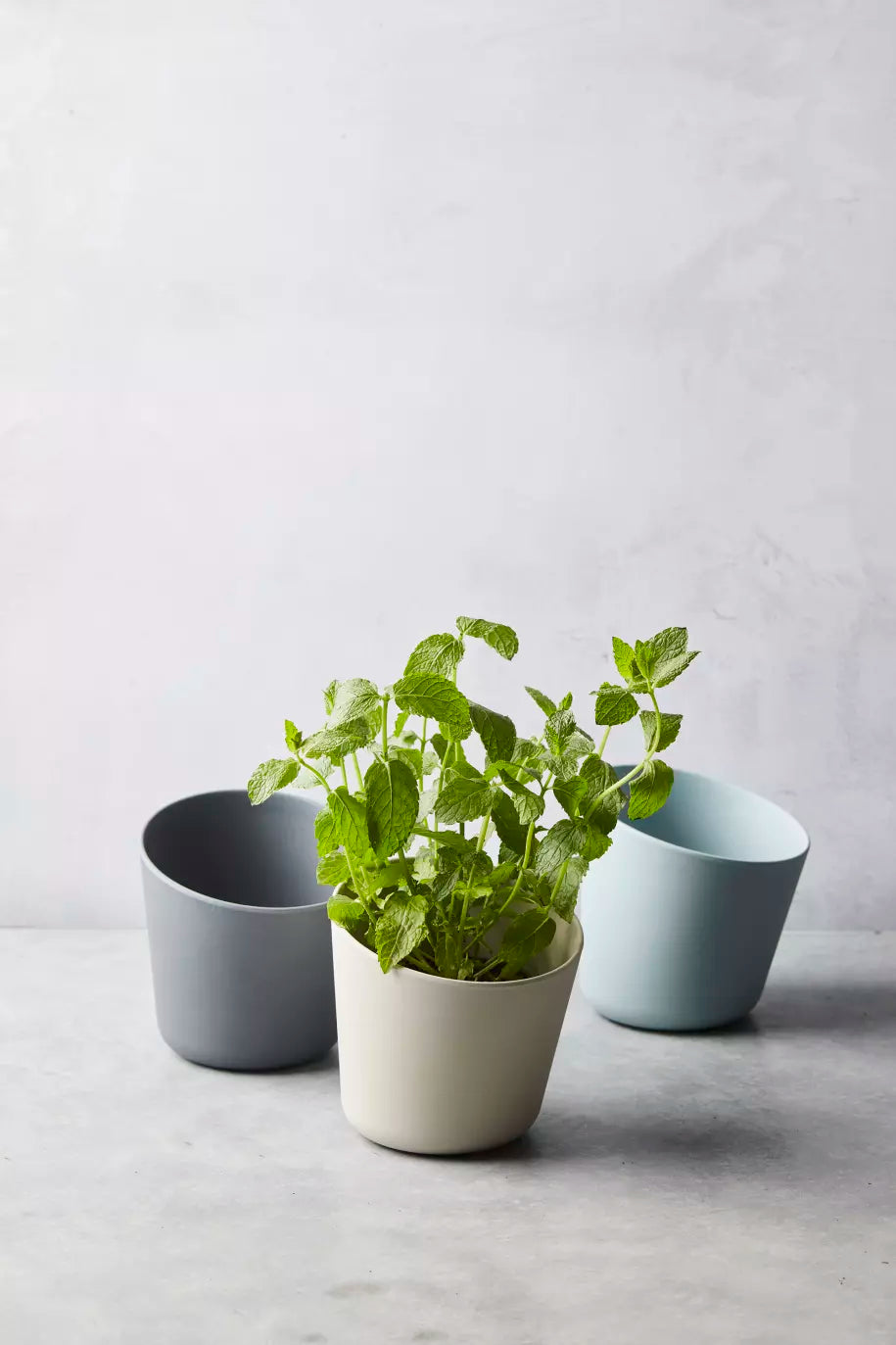 media_ambienceimage_3