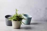 Kruidenpot uit bamboevezel mist blauw