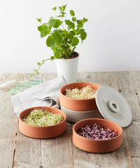 Terracotta kiemtoren met 4 schalen