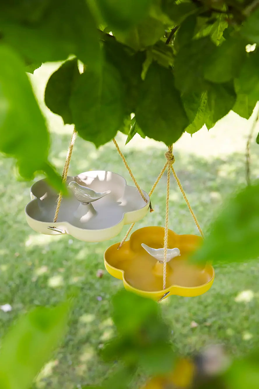 media_ambienceimage_1