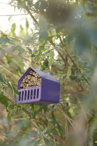Insectenhotel huis uit bamboevezel paars 16x13x16cm