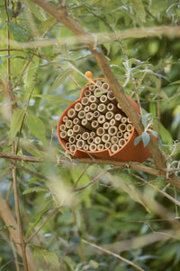 Bijen- en insectenhotel uit bamboevezel oranje 16x15x12cm