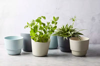 Pot à épices en fibre de bambou gris foncé