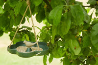 Baignoire à oiseaux/ mangeoire pour oiseaux en fibre de bambou taupe