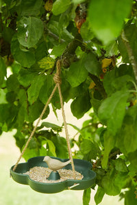 Baignoire à oiseaux/ mangeoire pour oiseaux en fibre de bambou taupe