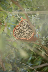 Bijen- en insectenhotel uit bamboevezel oranje 16x15x12cm