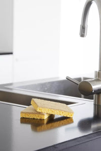 Set de 2 éponges à récurer en fibre de coco