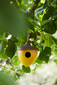 Vogelhuisje uit bamboevezel eikel okergeel