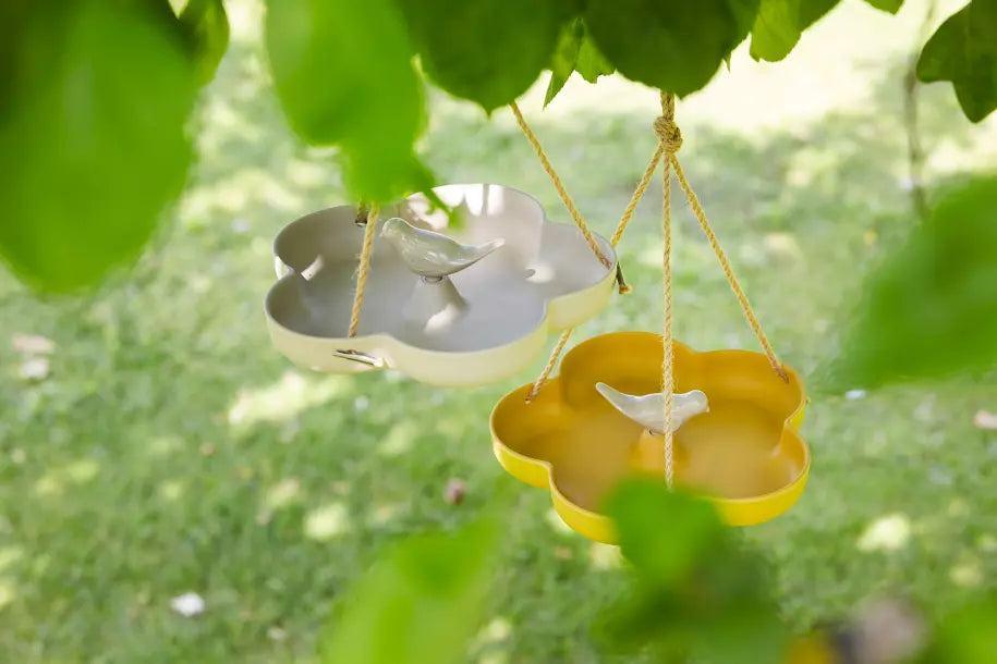 media_ambienceimage_2