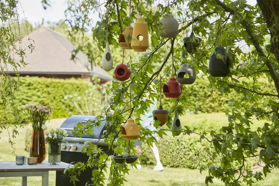 media_ambienceimage_6