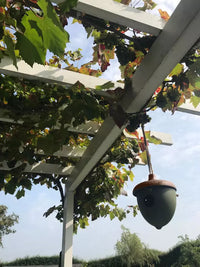 Vogelhuisje uit bamboevezel eikel groen