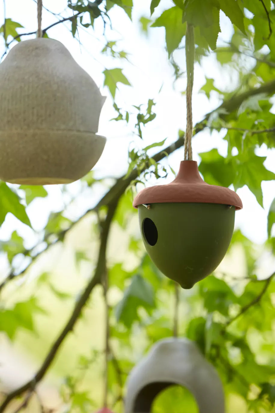 media_ambienceimage_2