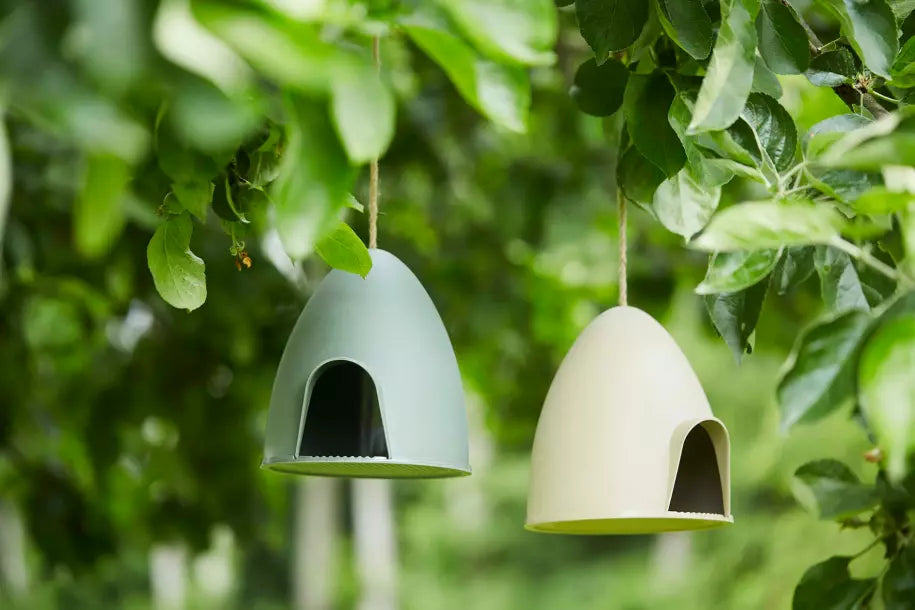 media_ambienceimage_1