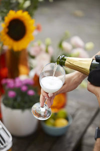 Set van champagnestop en wijnkoeler