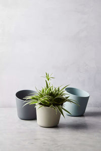 Pot à épices en fibre de bambou gris foncé