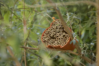Bijen- en insectenhotel uit bamboevezel oranje 16x15x12cm